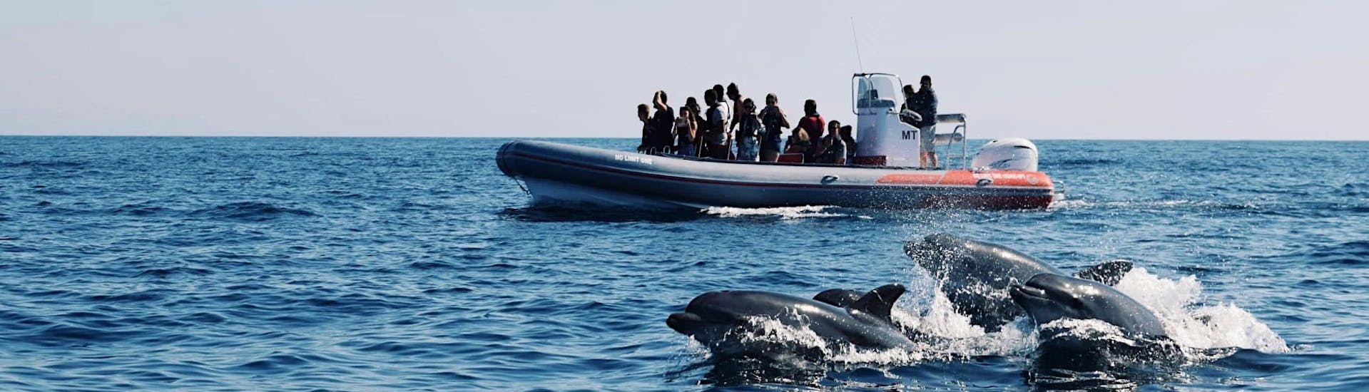 Een gelukkige dolfijn tijdens de Boottocht van Albufeira naar de Benagil Grot met Dolfijnen kijken met Allboat Albufeira.