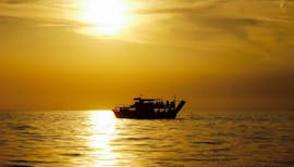 Boat on the sea during the sunset tour of Poreč with dolphin watching organised by Victoria Tours Poreč.