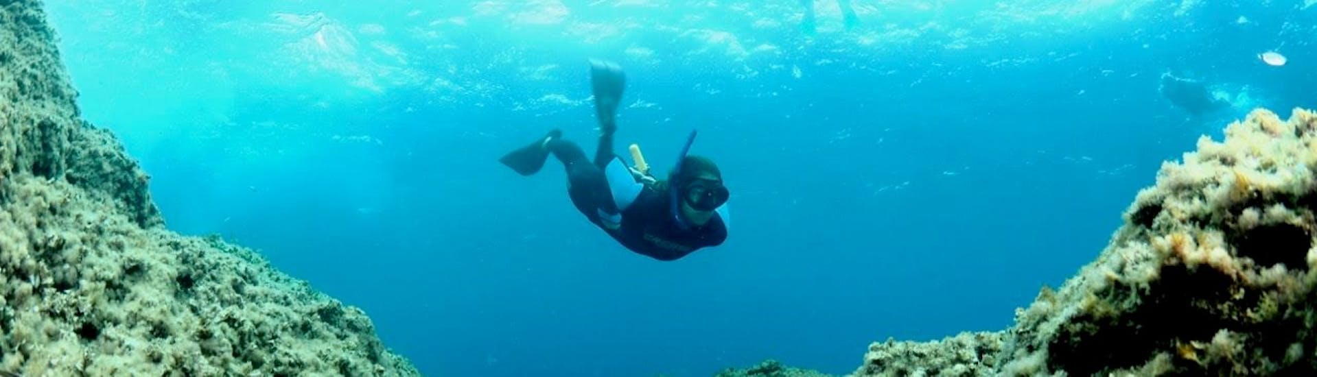 A snorkeler approaches to some rocks during our Snorkeling Tour in the Paraggi Bay in Portofino with Outdoor Portofino.