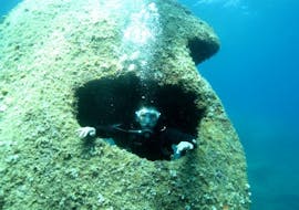 Una persona che fa un'immersione guidata ad Ajaccio per subacquei certificati con E Ragnole Plongée Ajaccio.