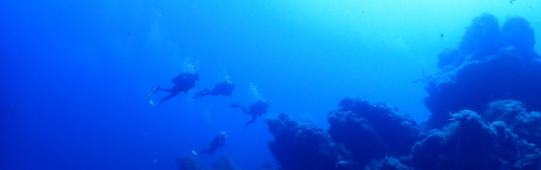Three people doing a Guided Dive in Ajaccio for Certified Divers with E Ragnole Plongée Ajaccio.
