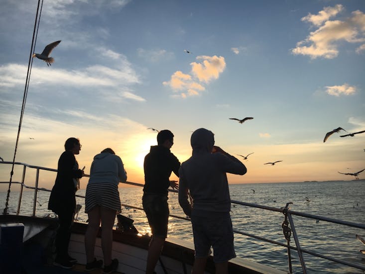 Gente observando la puesta de sol durante el paseo en barco al atardecer con avistamiento de delfines desde Pula con Orion Travel Pula.