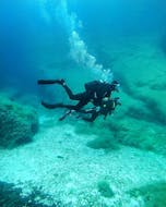 Guided Dives along the Baunei Coast for Certified Divers from Nautica Sea Service Ogliastra.
