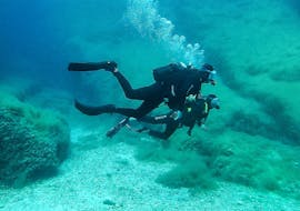 Guided Dives along the Baunei Coast for Certified Divers from Nautica Sea Service Ogliastra.