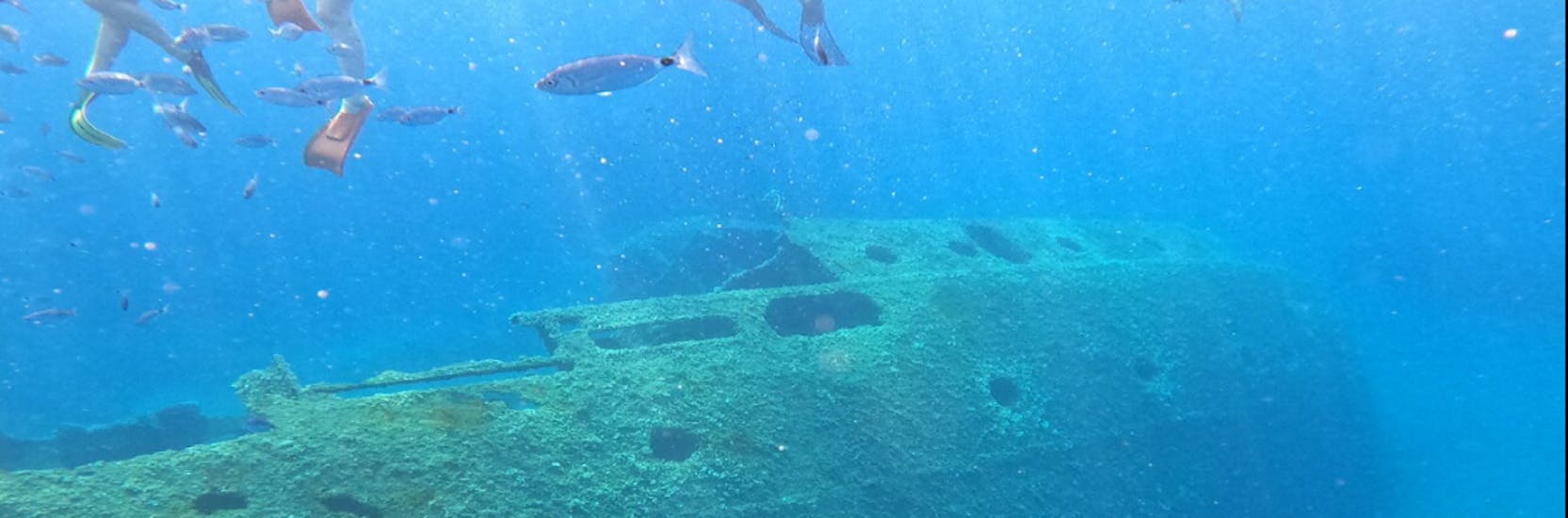 View of the wreck during our boat Trip to the Pomonte Wreck and the Grotta Azzurra with Motobarca Mickey Mouse Elba.