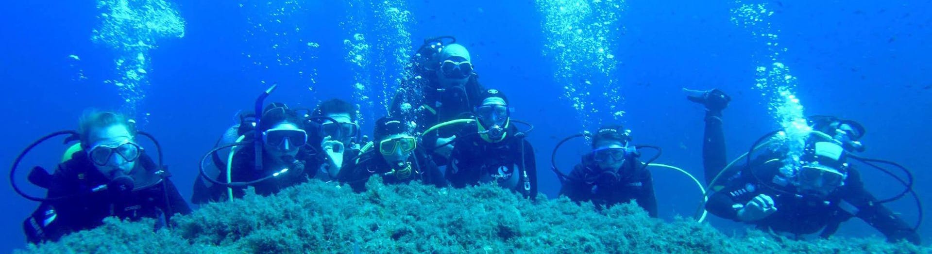 People are doing a Guided Dive in Porto-Vecchio for Certified Divers with Hippocampe Porto-Vecchio.