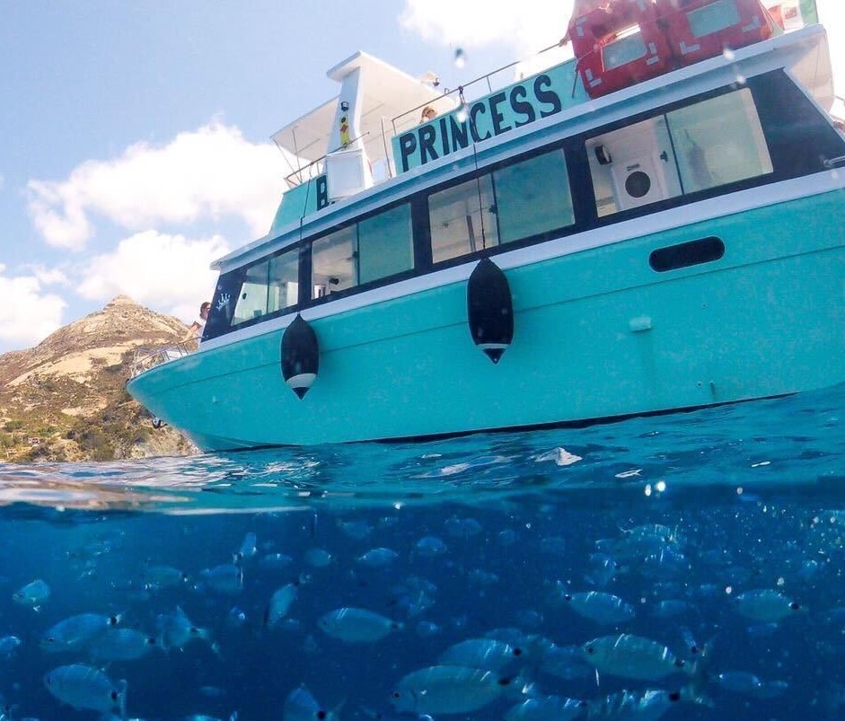 Photo of our motorboat during a trip from Marina di Campo to Pomonte with dolphin watching with Baby Princess Elba.