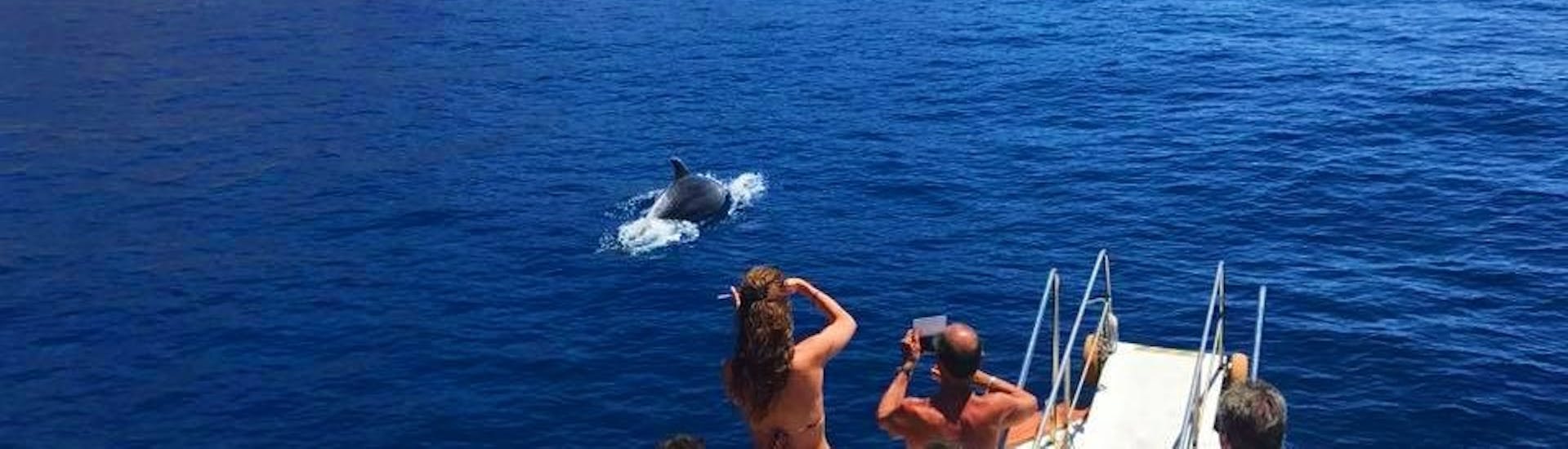 Dolfijnen spotten tijdens een boottocht van Marina di Campo naar Sant'Andrea met dolfijnen spotten met Baby Princess Elba.