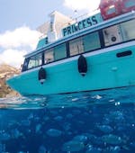 Foto van onze motorboot Baby Princess Elba tijdens een boottocht van Marina di Campo naar Sant'Andrea met dolfijnen spotten met Baby Princess Elba.