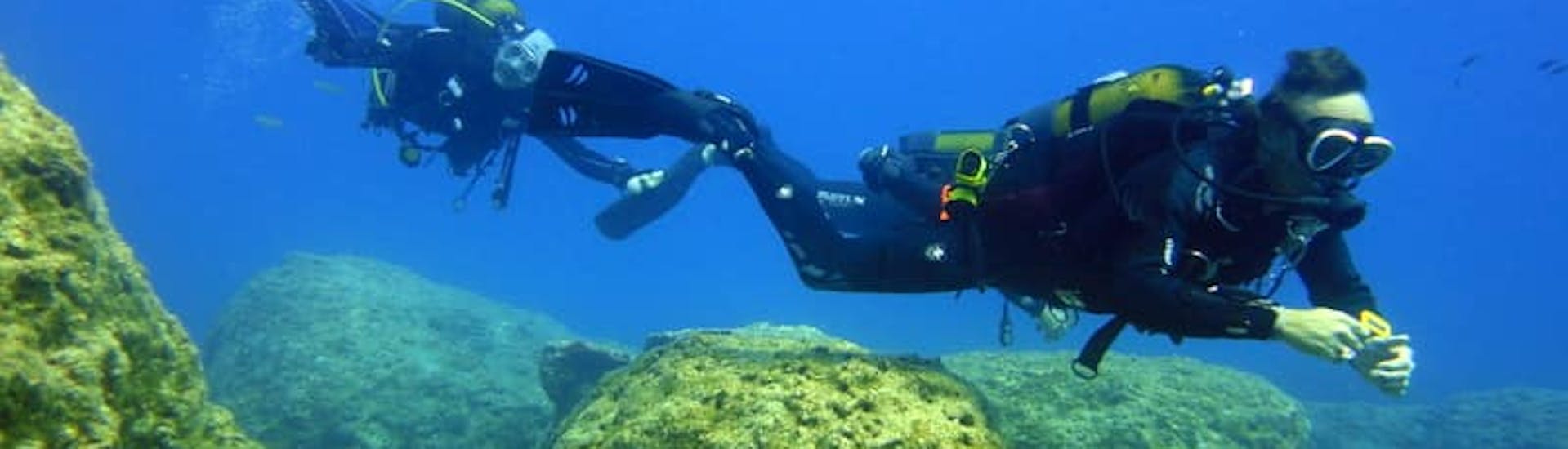 Immersioni guidate a Zante per subacquei certificati.
