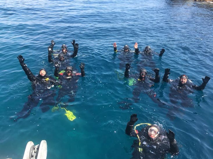 View of a group of scuba divers during our Trial Scuba Diving at Corbella Islet in the south of Elba with Baiarda Dive Boat Excursions Elba.