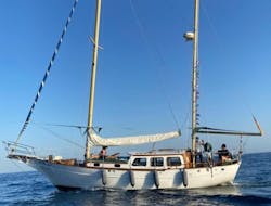 Gita privata in barca a vela da Benalmádena con bagno in mare e visita turistica con Ocean Cruiser Benalmádena.