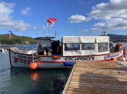 Paseo en barco privado por la costa sur de Elba con Baiarda Dive Boat Excursions Elba.