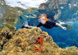 A kid doing a Snorkeling Trip at the Revellata point in Calvi with L'Hippocampe Plongée Calvi.
