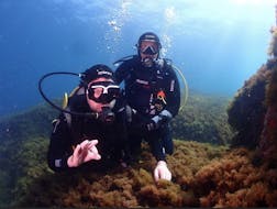 People are doing an FFESSM PE12 Diving Course in Calvi for Beginners with L'Hippocampe Plongée Calvi.