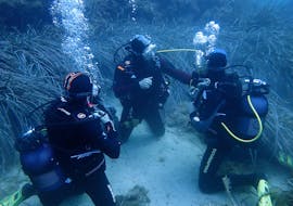 People are doing a FFESSM Level 1 Diving Course in Marseille for Beginners with Le Bateau Jaune.