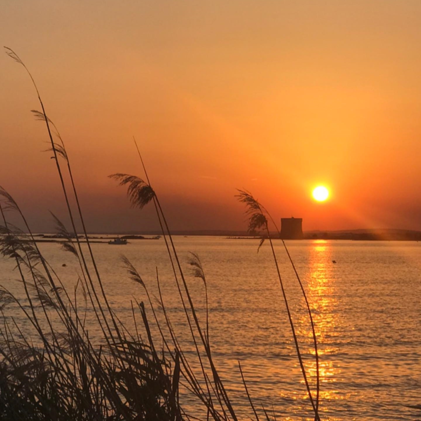 The sun sets behind Torre Chianca during the Sunset RIB Boat Trip along the coast of Porto Cesareo with aperitif with Vie del Mediterraneo Porto Cesareo.