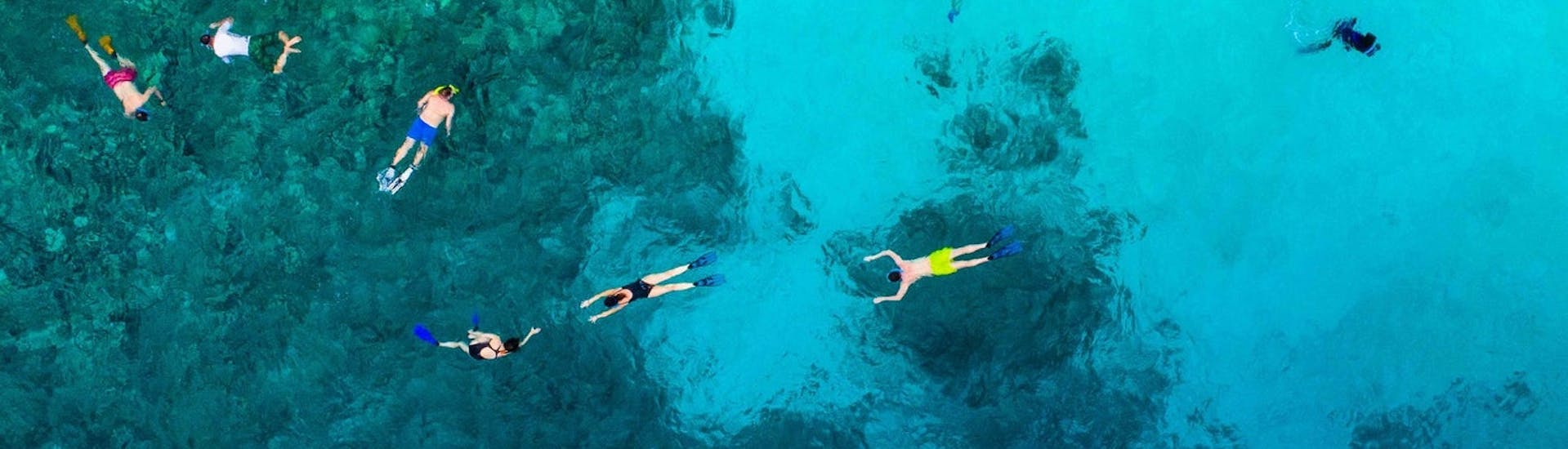 People doing a Snorkeling Trip in Propriano with Propriano Plongée.