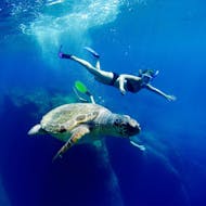 Bild eines Mädchens, das während der Bootstour zu den Keri-Höhlen mit Schildkrötenbeobachtung mit Best of Zante neben einer Trutle schwimmt.
