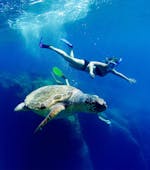 Foto van een meisje zwemmend naast een schildpad tijdens de boottocht naar de Keri grotten met schildpadden spotten met Best of Zante