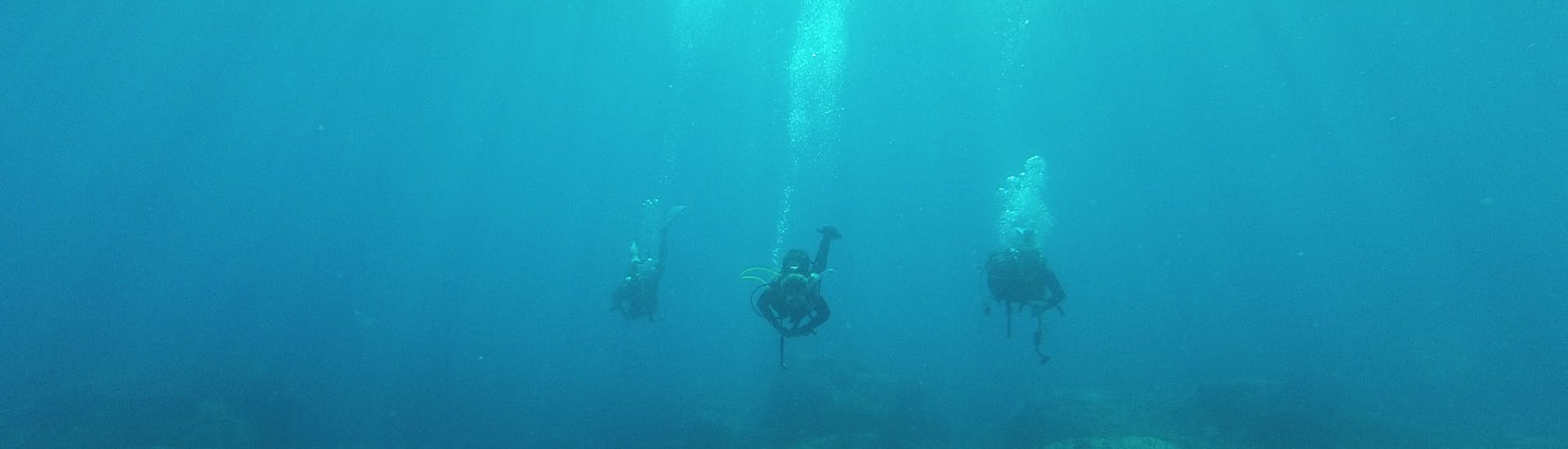 2 participantes bucean con el instructor bajo el agua sobre un arrecife, en el "PADI Discover Scuba Diving" en Zakynthos con Diver's Paradise.