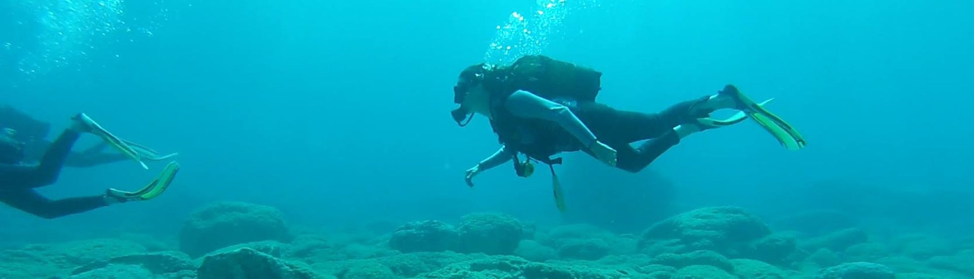 Een groep duikers duikt onder water over een rif op de PADI Open Water Diver-cursus in Zakynthos voor beginners met Diver's Paradise.