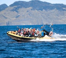 Menschen auf unserem Speedboot während der Bootstour ab Caniçal mit Wal- und Delfinbeobachtung mit Madeira Sea Emotions.