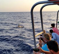 People enjoying during a Catamaran Trip from Santa Ponsa & Andratx with Dolphin Watching with Cormoran Cruises Paguera.