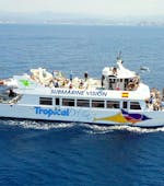 Balade en catamaran Peguera avec Baignade & Visites touristiques avec Cruise Cormoran Majorque.