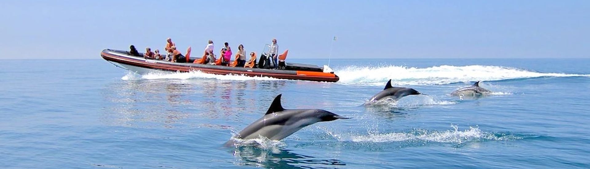 Gente a bordo de nuestro barco durante un Paseo en barco a las cuevas del Algarve con avistamiento de delfines con Vilamoura Watersports Centre.