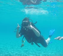 Discover Scuba Diving at St. Nicholas Beach in Vasilikos from St. Nicholas Beach Watersports Zakynthos.
