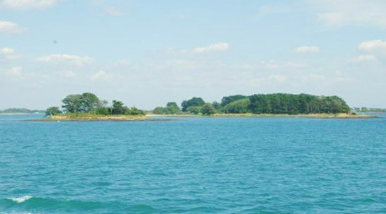Blick während der Bootsfahrt im Golf von Morbihan & Nachmittag auf der Île aux Moines mit Izenah Croisières Baden.