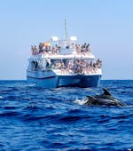 El catamarán Magic Vision navegando por la bahía de Benalmádena con delfines saltando desde el agua de frente, durante un paseo en catamarán en Benalmádena con avistamiento de delfines con Costasol Cruceros.