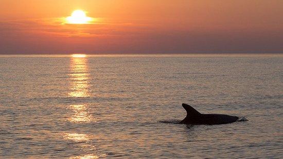 Escursione privata di snorkeling a Pola città (Pula) per principianti con Orca Diving Center Pula.