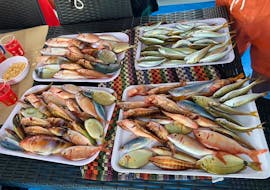Picture of fish caught on a boat from Pescaturismo Vivereilmare Porto Cesare during the Boat Trip in Porto Cesareo with Fishing Experience.