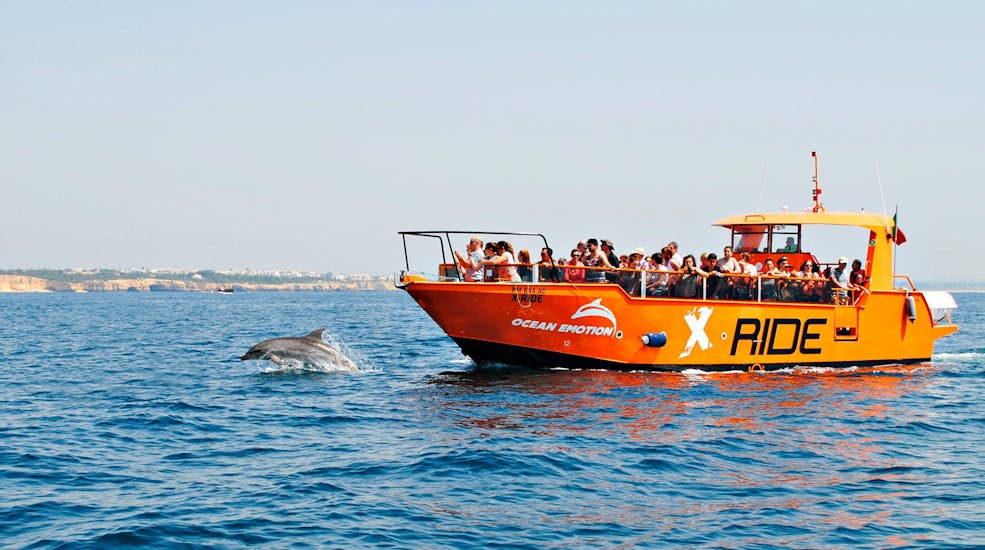Gita in barca alla grotta di Benagil con osservazione dei delfini.