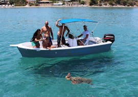 Un grupo de amigos fotografiando una tortuga en el paseo en barco para la observación de tortugas desde Agios Sostis.