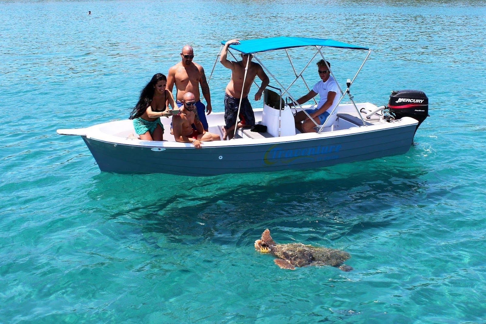 Balade en bateau Agios Sostis - Laganas Bay  & Observation de la faune avec Traventure Zakynthos.