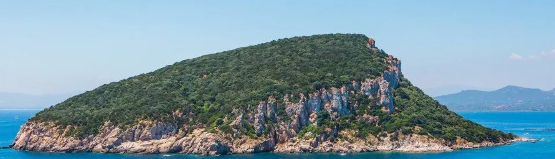 Vista de la isla de Figarolo durante la paseo privado en catamarán al atardecer a la isla de Figarolo con Blue Deep Tours Golfo Aranci.