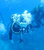 Delle persone fanno un'immersione di prova nel Parco Naturale dell'Esterel o nelle Isole Lerins con il Centro Immersioni La Rague.