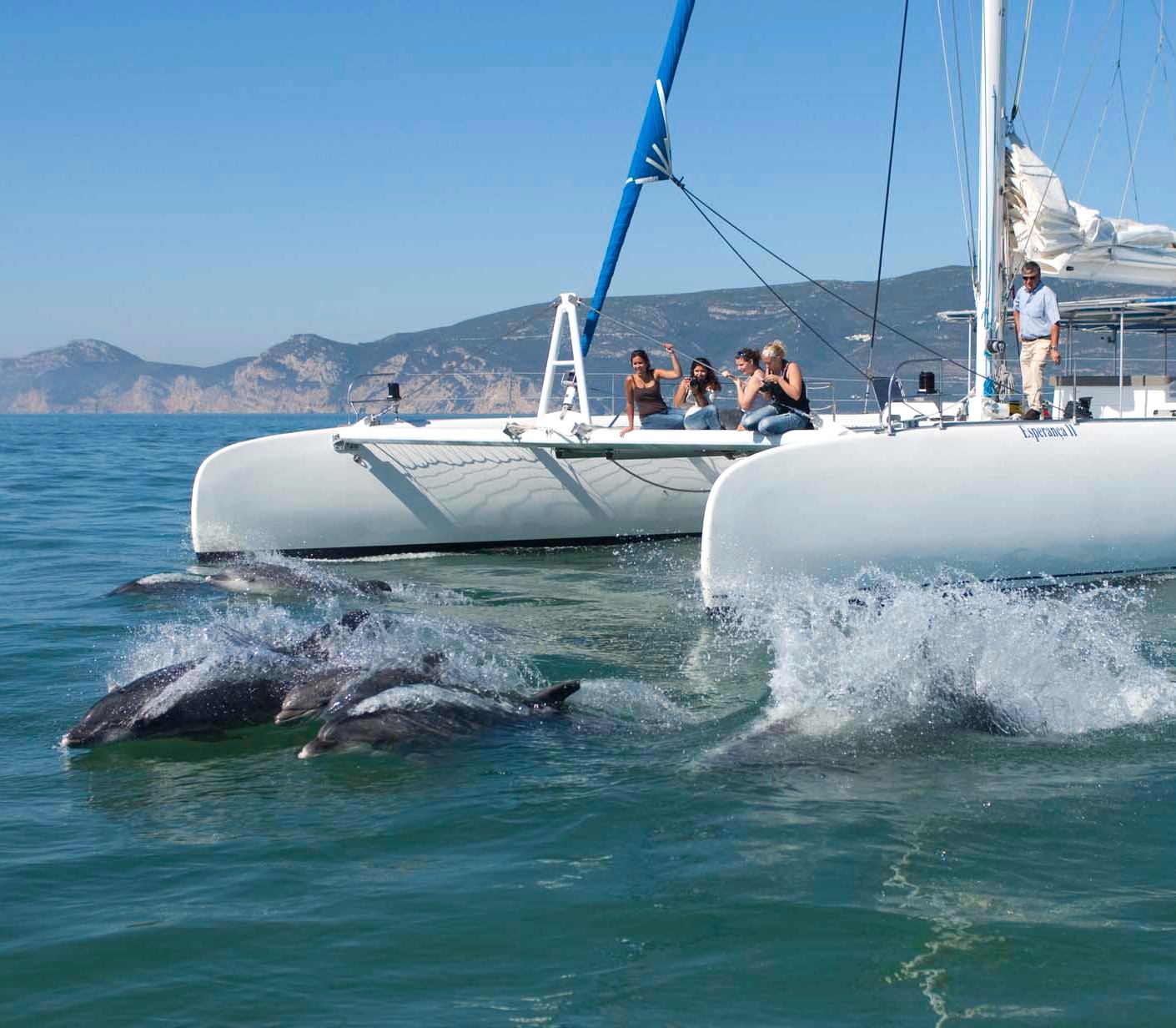 Personas admirando a los delfines durante una excursión en barco desde Setúbal por el río Sado con el avistamiento de delfines con Vertigem Azul.