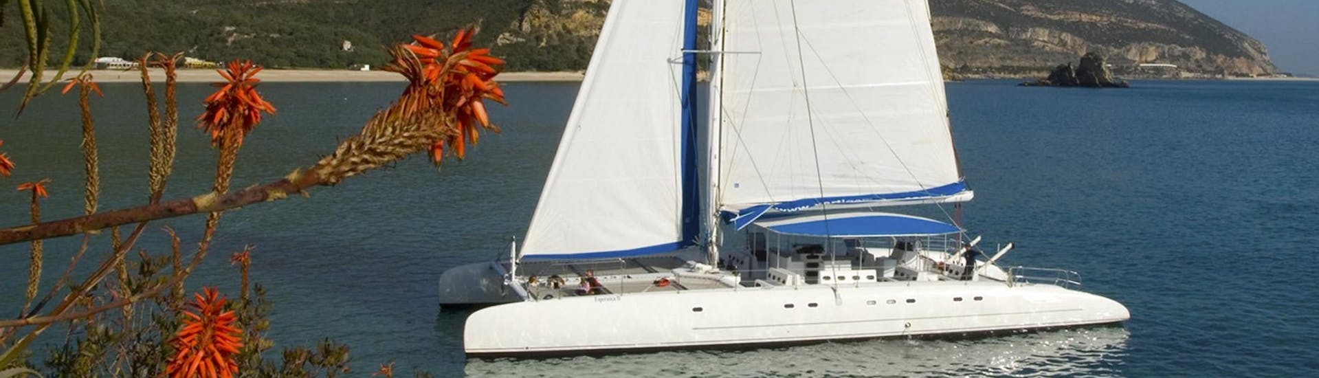 Balade en catamaran Troia avec Observation de la faune & Visites touristiques.
