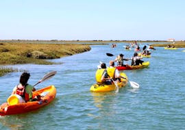 Participants on a sunny day paddling down the Ria Formosa during a relaxing kayak rental from Faro with Lands Algarve.