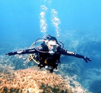 Imagen de un buceador durante el curso PADI Discover Scuba Diving con Cyprus Diving Adventure.