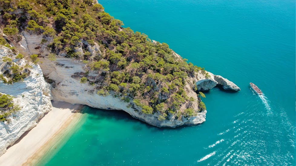 The coast of Gargano is one of the highlights of the Private RIB Boat Trip to the Marine Caves from Vieste.