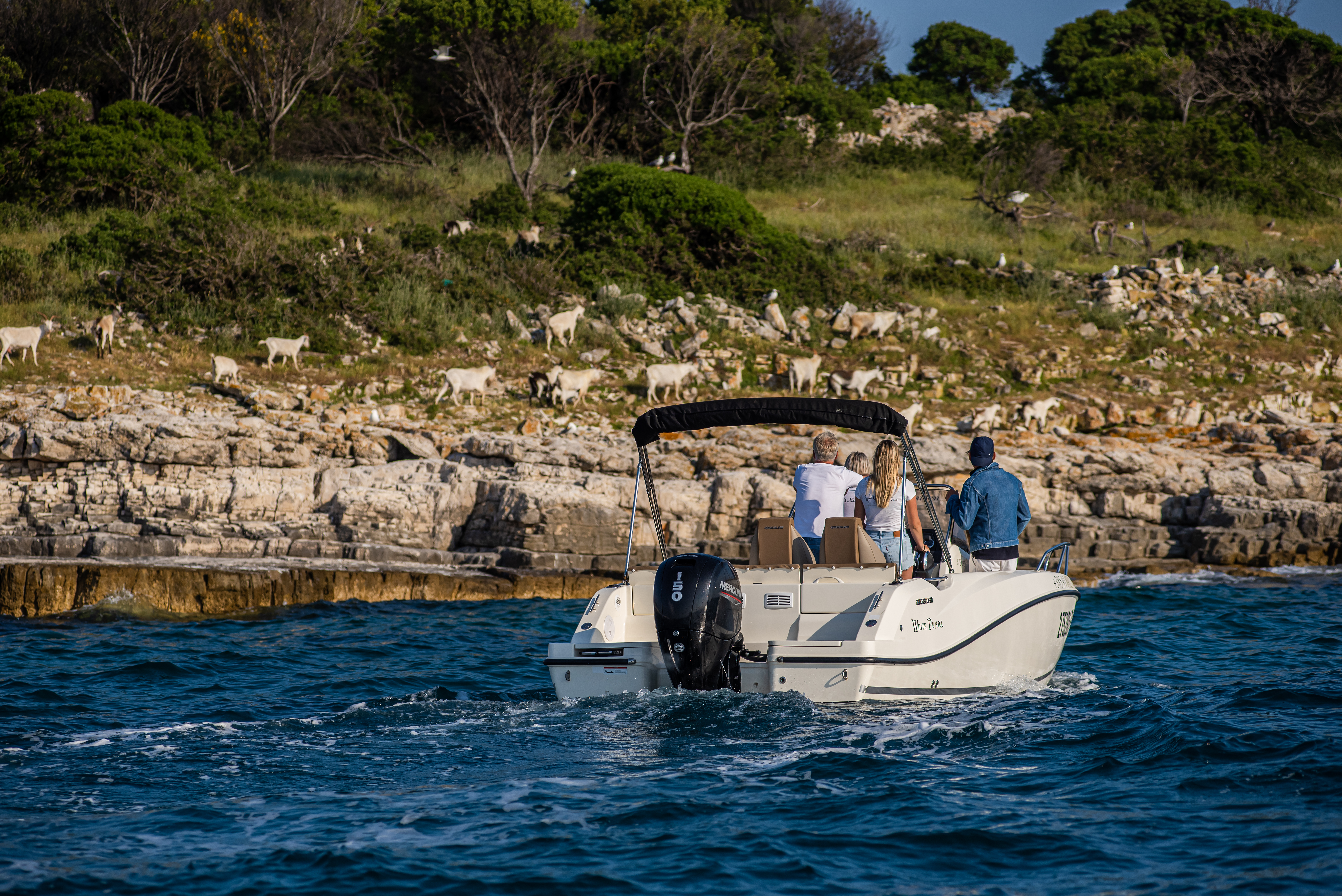 Excursión privada en barco por la isla de Brijuni con Sea Tours Istria. Los pasajeros disfrutan de una excursión privada en barco a la isla de Brijuni con Sea Tours Istria Fažana, mientras navegan junto a una costa rocosa y observan cabras salvajes pastando cerca del agua.