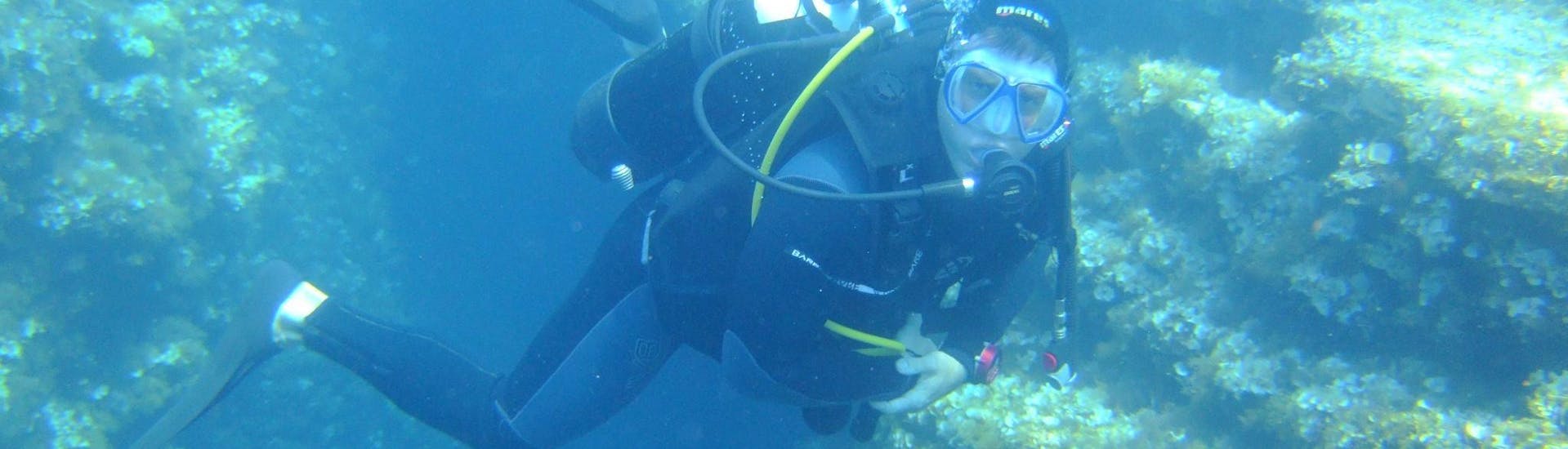 A diver does a open water course in Kontokali Bay with Scubanauts Corfu Diving Center.