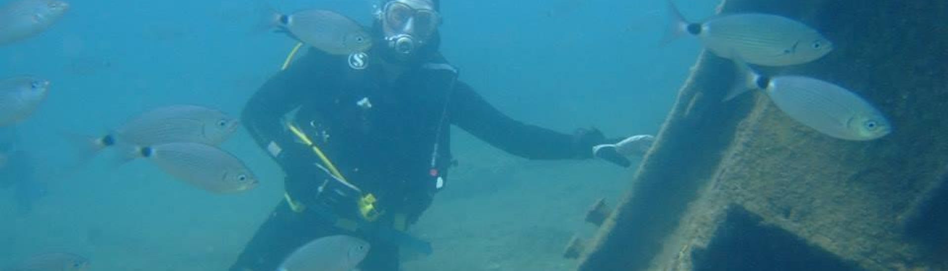 Een gecertificeerde duiker doet een begeleide duik in de baai van Kontokali met Scubanauts Corfu Diving Center.