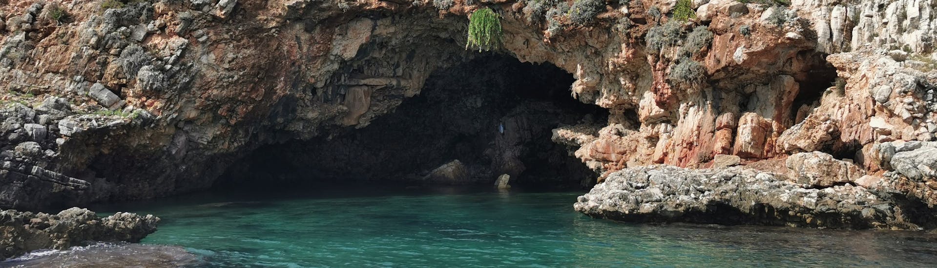 An der Küste von Riserva dello Zingaro gibt es viele schöne Grotten, die während der Bootstour von Castellamare nach Riserva dello Zingaro bewundert werden können.