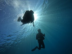Immersione subacquea di prova vicino a Heraklion con Horizon Diving Gournes.